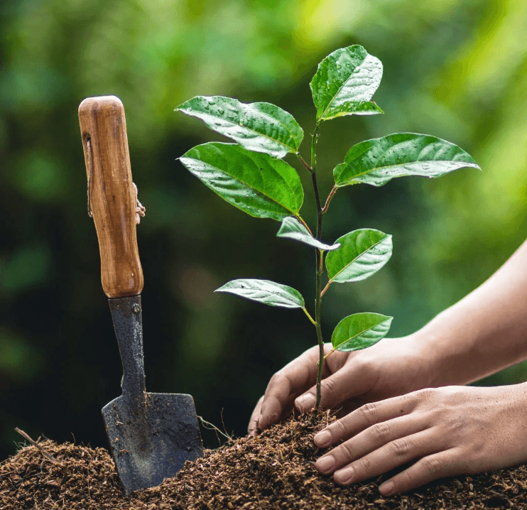 WTN Community Photos