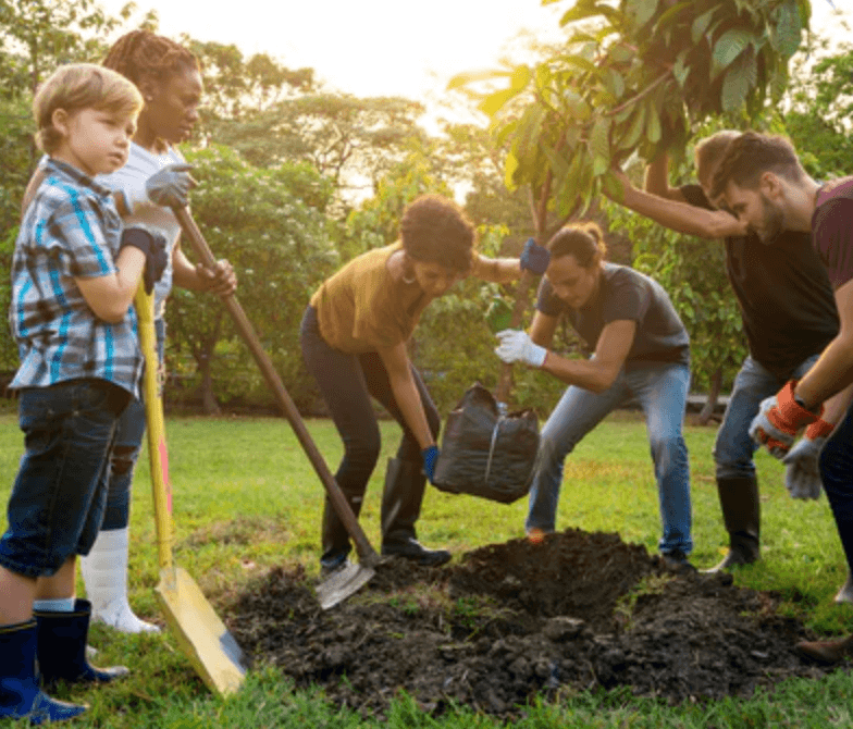 WTN Community Photos