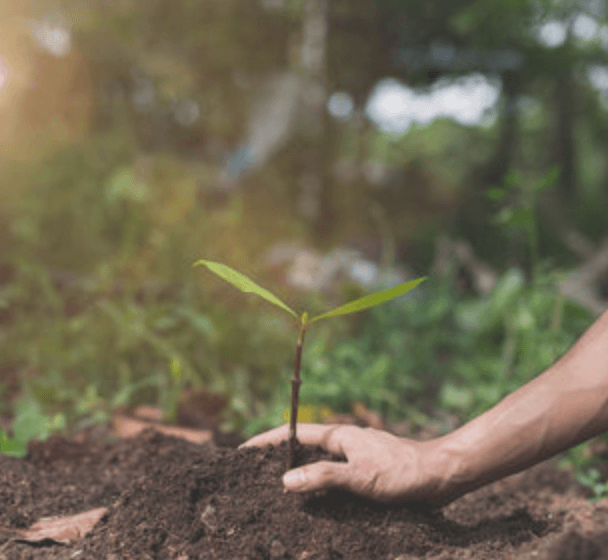 WTN Community Photos